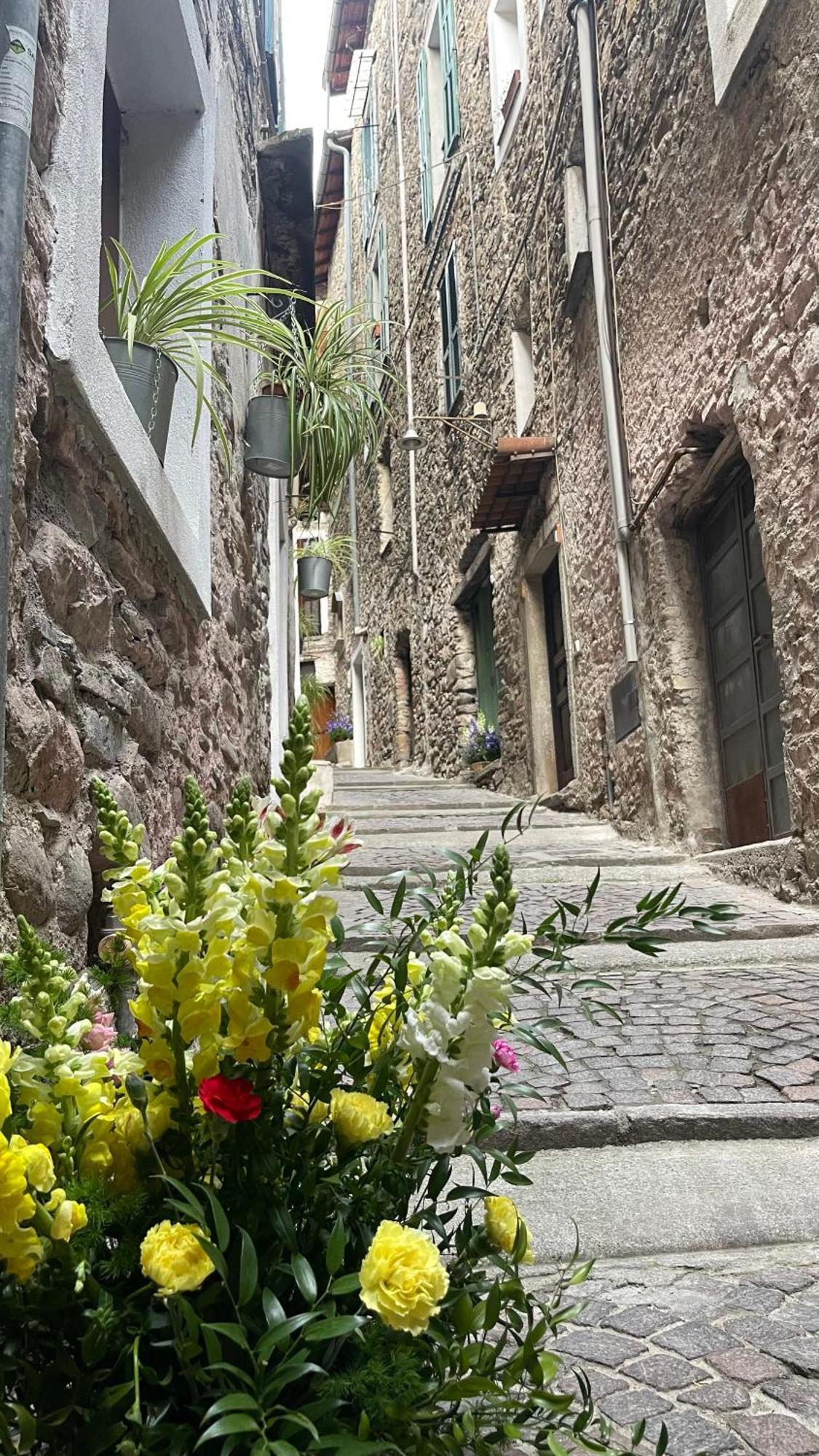 Le Bijou Di Dolceacqua, Per Un Momento Memorabile.公寓 外观 照片